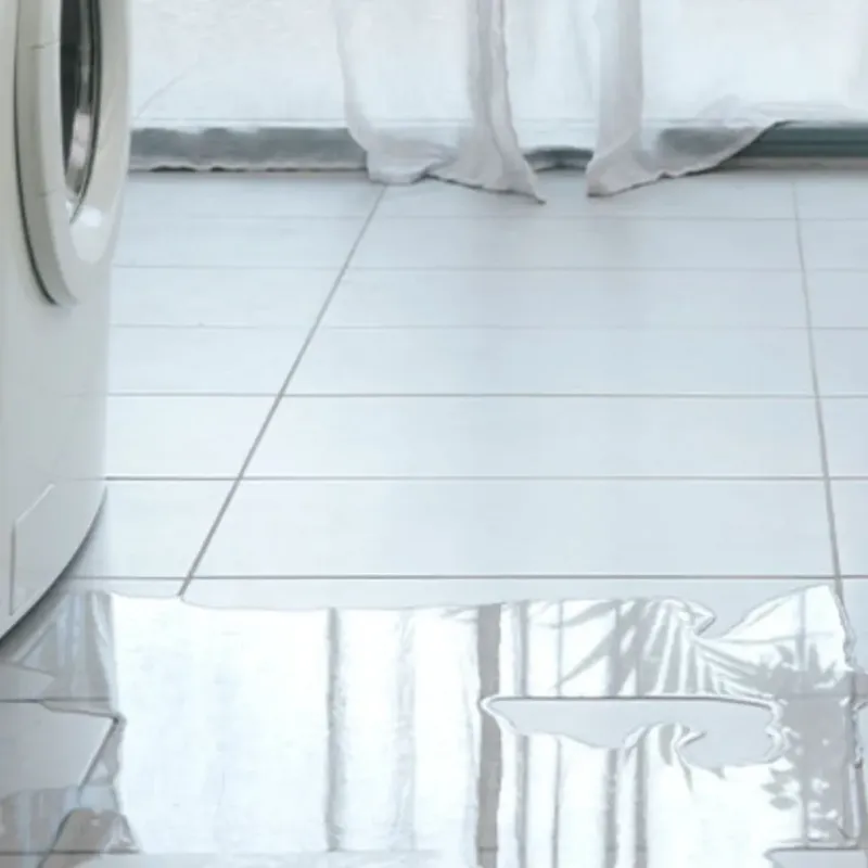 Appliance Leak Cleanup in Silsbee, TX
