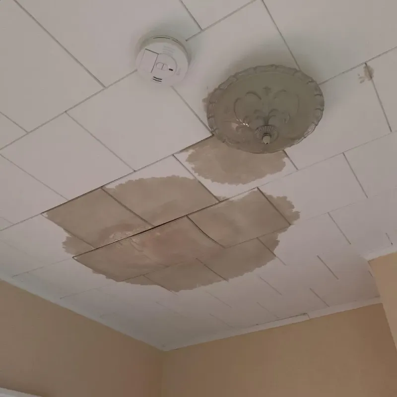 Ceiling Water Damage Repair in Silsbee, TX